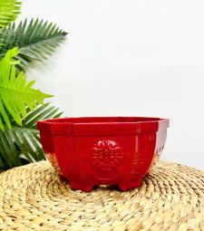 Xu hướng sử dụng chậu nhựa trồng cây hiện nay 