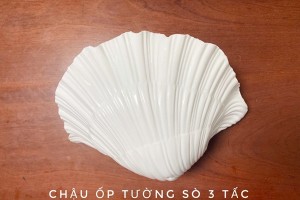Vì sao nên chọn chậu nhựa trồng cây giá sỉ tại Nhựa Á Đông?