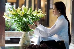 Mẫu chậu nhựa dùng để trang trí