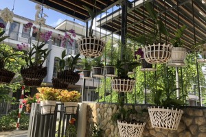 Cách chọn chậu hoa nhựa đẹp