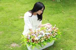 Khay Trồng Rau Có Cần Thiết?