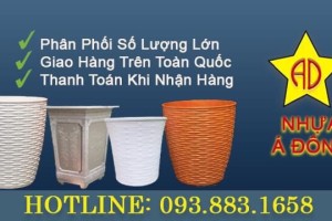 TÌM KIẾM NHÀ PHÂN PHỐI CỘNG TÁC VIÊN CHẬU NHỰA + CHẬU TREO XƠ DỪA 