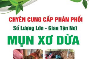 LỢI ÍCH CỦA VIỆC TRỒNG CÂY BẰNG MỤN XƠ DỪA
