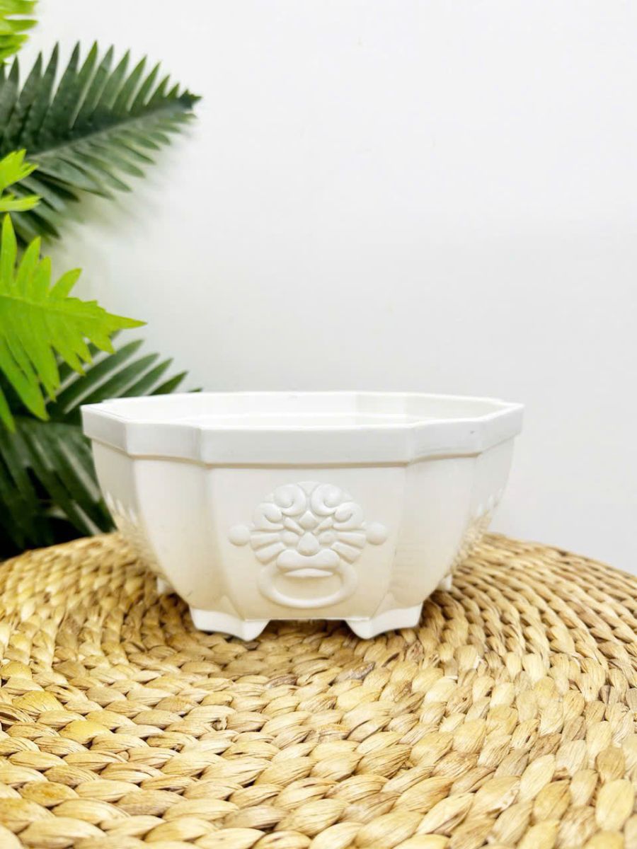 Chậu Nhựa trồng cây