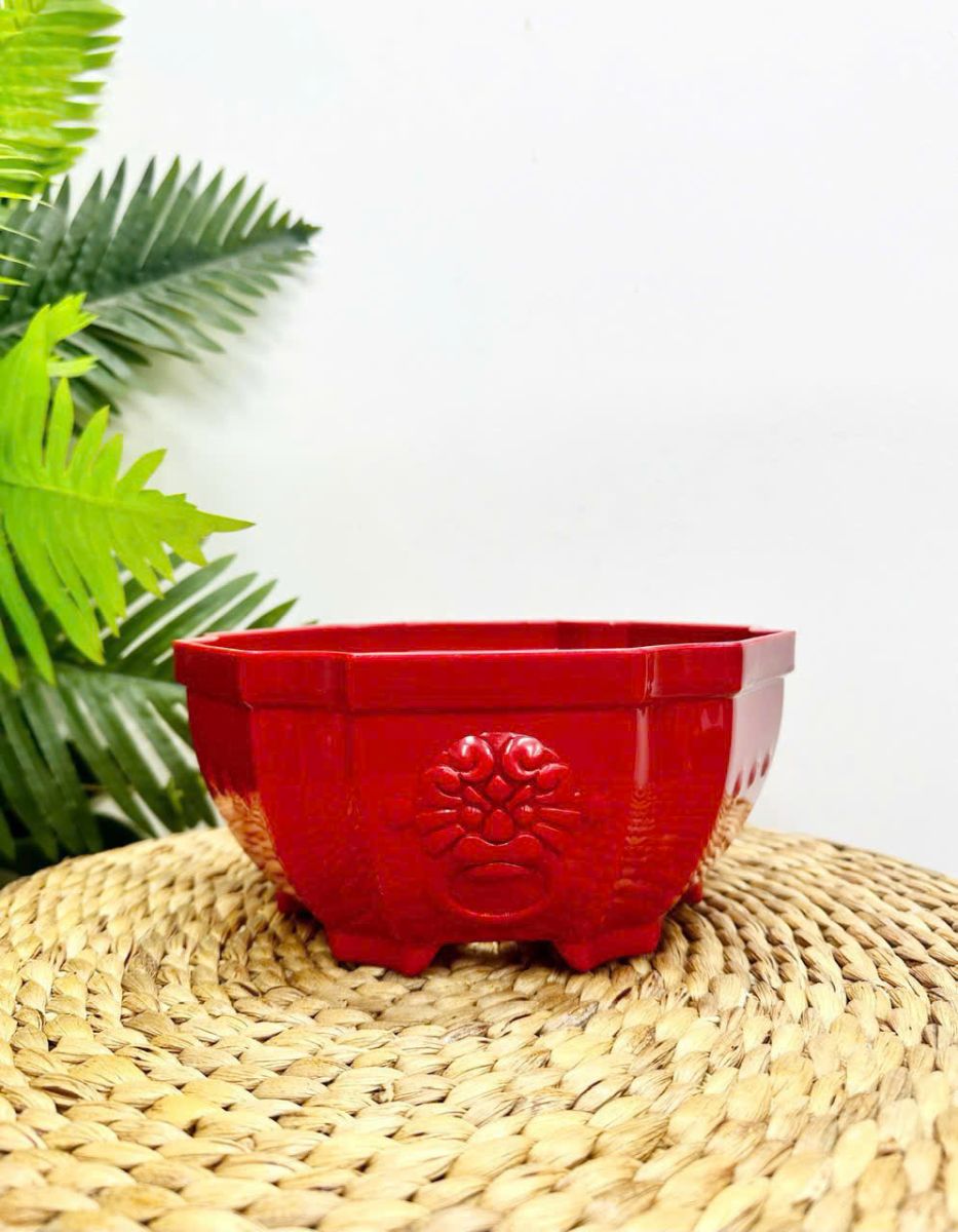 Chậu Nhựa trồng cây