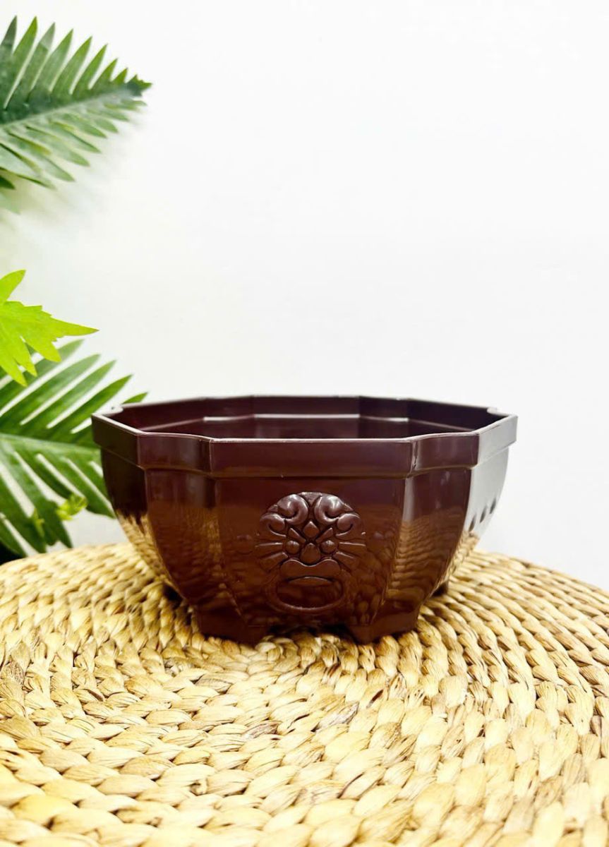 Chậu Nhựa trồng cây